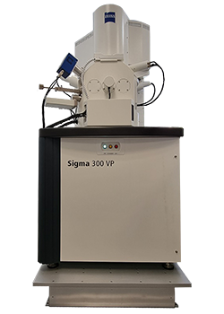 Zeiss Sigma 300VP on AVI400M/2/LP